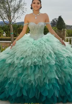 Sweet Sixteen|Plus Sized Quince Dresses^Vizcaya Quinceanera 89438