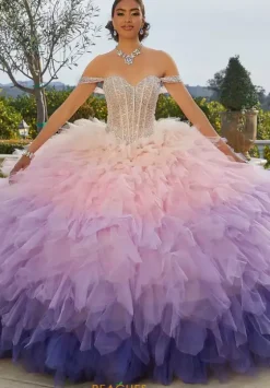 Sweet Sixteen|Plus Sized Quince Dresses^Vizcaya Quinceanera 89438