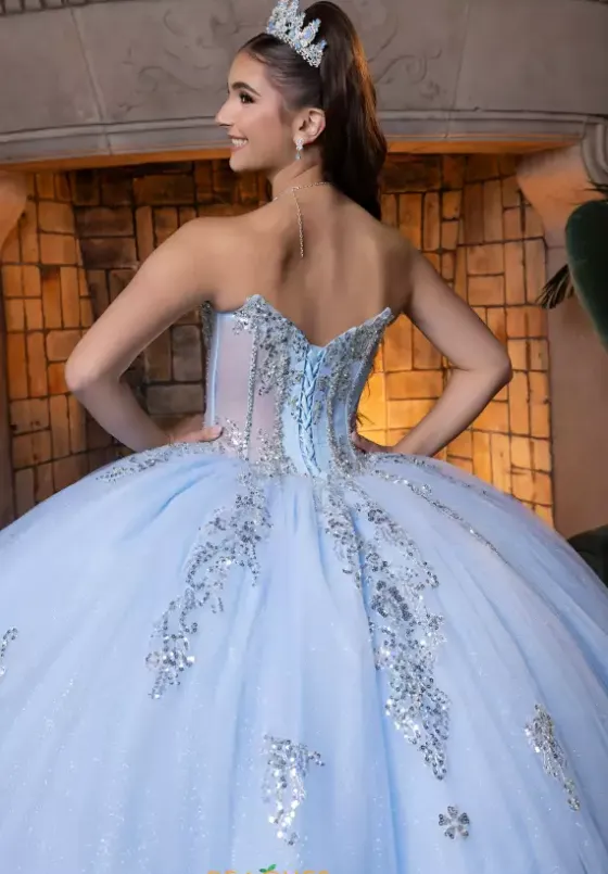 Quince Dresses With Sleeves|Plus Sized Quince Dresses^Vizcaya Quinceanera 4080004