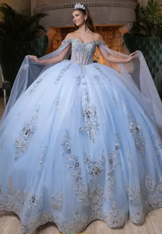 Quince Dresses With Sleeves|Plus Sized Quince Dresses^Vizcaya Quinceanera 4080004