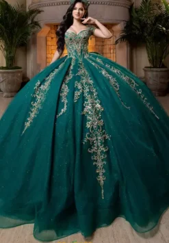 Plus Sized Quince Dresses|Sweet Sixteen^Vizcaya Quinceanera 4080026