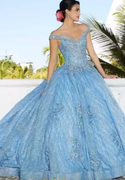 Sweet Sixteen|Plus Sized Quince Dresses^Vizcaya Quinceanera 89357