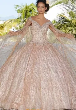 Sweet Sixteen|Plus Sized Quince Dresses^Vizcaya Quinceanera 89357