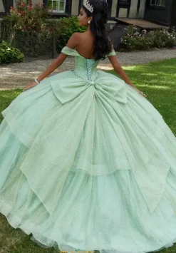 Sweet Sixteen|Plus Sized Quince Dresses^Vizcaya Quinceanera 60193