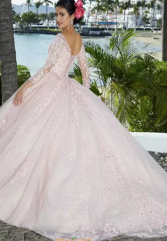 Quince Dresses With Sleeves|Plus Sized Quince Dresses^Vizcaya Quinceanera 89360