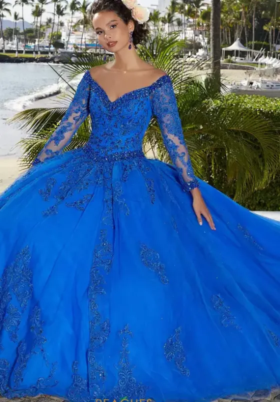 Quince Dresses With Sleeves|Plus Sized Quince Dresses^Vizcaya Quinceanera 89360