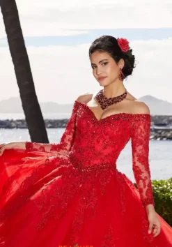 Quince Dresses With Sleeves|Plus Sized Quince Dresses^Vizcaya Quinceanera 89360