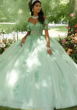 Sweet Sixteen|Plus Sized Quince Dresses^Vizcaya Quinceanera 89445