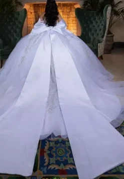 Sweet Sixteen|Plus Sized Quince Dresses^Vizcaya Quinceanera 4080008