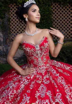 Sweet Sixteen|Plus Sized Quince Dresses^Vizcaya Quinceanera 4080008