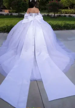 Sweet Sixteen|Plus Sized Quince Dresses^Vizcaya Quinceanera 4080008