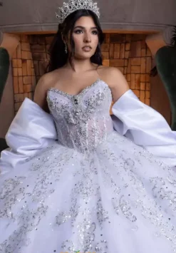 Sweet Sixteen|Plus Sized Quince Dresses^Vizcaya Quinceanera 4080008