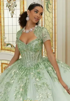 Sweet Sixteen|Plus Sized Quince Dresses^Vizcaya Quinceanera 89472