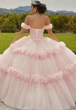 Sweet Sixteen|Plus Sized Quince Dresses^Vizcaya Quinceanera 89433