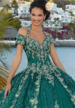 Plus Sized Quince Dresses|Sweet Sixteen^Vizcaya Quinceanera 89351