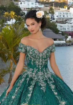 Plus Sized Quince Dresses|Sweet Sixteen^Vizcaya Quinceanera 89351