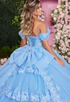 Sweet Sixteen|Plus Sized Quince Dresses^Vizcaya Quinceanera 89509