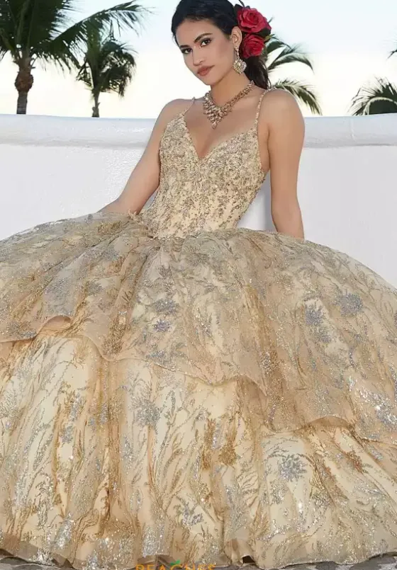 Sweet Sixteen^Vizcaya Quinceanera 60163