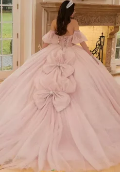Sweet Sixteen|Plus Sized Quince Dresses^Vizcaya Quinceanera 89479