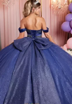 Plus Sized Quince Dresses|Sweet Sixteen^Vizcaya Quinceanera 89515