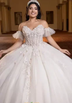 Plus Sized Quince Dresses^Vizcaya Quinceanera 4080023