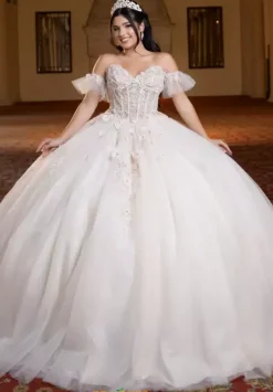 Plus Sized Quince Dresses^Vizcaya Quinceanera 4080023
