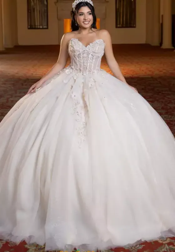 Plus Sized Quince Dresses^Vizcaya Quinceanera 4080023