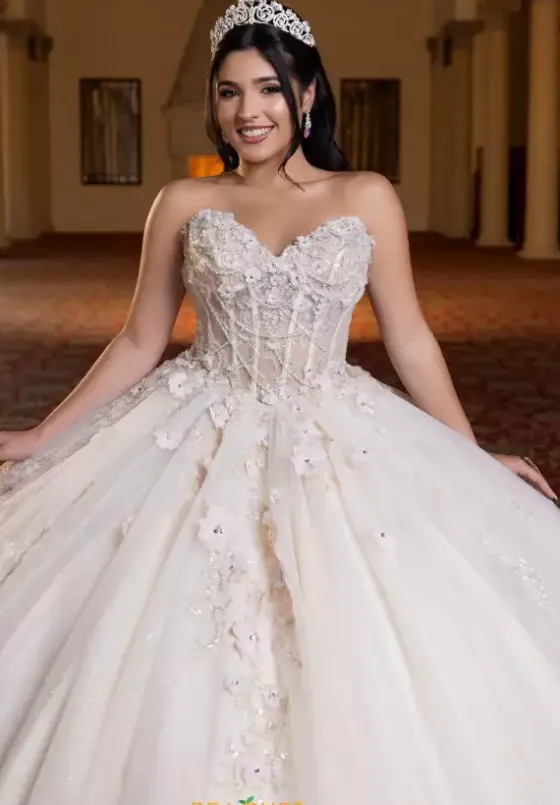 Plus Sized Quince Dresses^Vizcaya Quinceanera 4080023