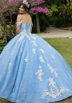Plus Sized Quince Dresses|Sweet Sixteen^Vizcaya Quinceanera 89281