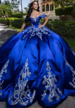 Plus Sized Quince Dresses|Sweet Sixteen^Vizcaya Quinceanera 4080009