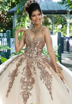 Sweet Sixteen|Plus Sized Quince Dresses^Vizcaya Quinceanera 89255