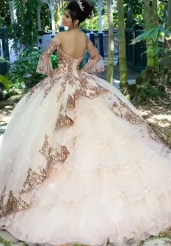 Sweet Sixteen|Plus Sized Quince Dresses^Vizcaya Quinceanera 89255