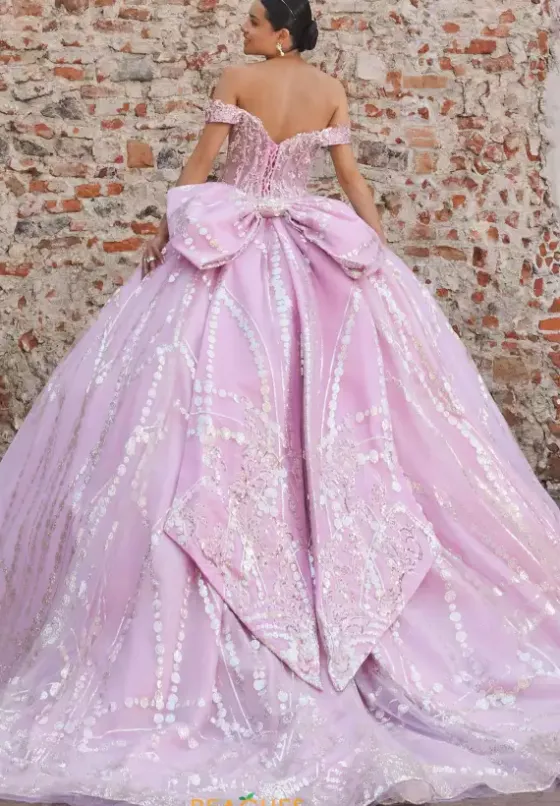 Sweet Sixteen|Plus Sized Quince Dresses^Vizcaya Quinceanera 89557