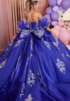 Plus Sized Quince Dresses|Sweet Sixteen^Vizcaya Quinceanera 89526