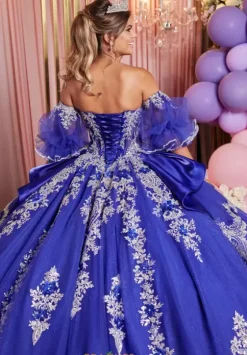 Plus Sized Quince Dresses|Sweet Sixteen^Vizcaya Quinceanera 89526