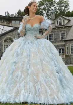 Quince Dresses With Sleeves|Plus Sized Quince Dresses^Vizcaya Quinceanera 34082 Iced Champagne