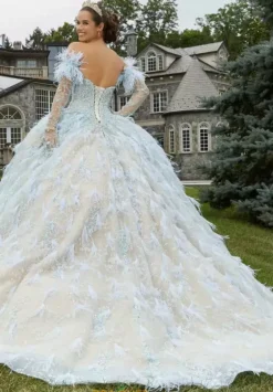 Quince Dresses With Sleeves|Plus Sized Quince Dresses^Vizcaya Quinceanera 34082 Iced Champagne