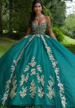 Sweet Sixteen|Plus Sized Quince Dresses^Vizcaya Quinceanera 89442