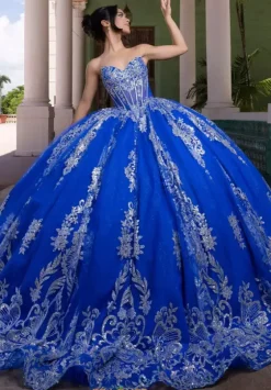 Sweet Sixteen|Plus Sized Quince Dresses^Vizcaya Quinceanera 4080021