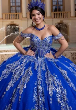 Sweet Sixteen|Plus Sized Quince Dresses^Vizcaya Quinceanera 4080021