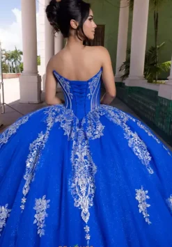 Sweet Sixteen|Plus Sized Quince Dresses^Vizcaya Quinceanera 4080021