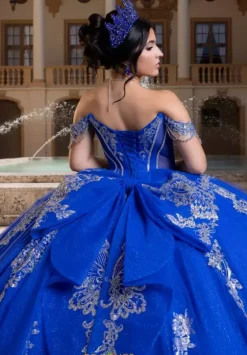 Sweet Sixteen|Plus Sized Quince Dresses^Vizcaya Quinceanera 4080021