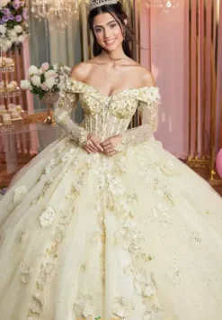 Quince Dresses With Sleeves|Plus Sized Quince Dresses^Vizcaya Quinceanera 89505