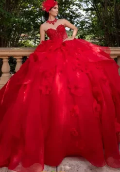 Plus Sized Quince Dresses|Sweet Sixteen^Vizcaya Quinceanera 4080012