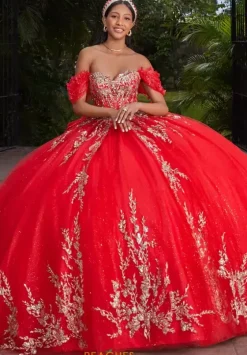 Sweet Sixteen|Plus Sized Quince Dresses^Vizcaya Quinceanera 89534