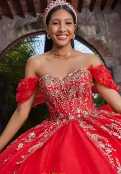 Sweet Sixteen|Plus Sized Quince Dresses^Vizcaya Quinceanera 89534