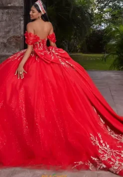 Sweet Sixteen|Plus Sized Quince Dresses^Vizcaya Quinceanera 89534