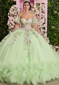 Plus Sized Quince Dresses|Sweet Sixteen^Vizcaya Quinceanera 89510