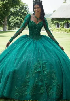 Sweet Sixteen|Plus Sized Quince Dresses^Vizcaya Quinceanera 89443