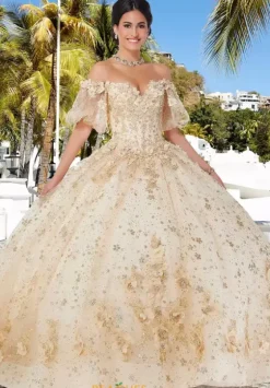 Plus Sized Quince Dresses|Sweet Sixteen^Vizcaya Quinceanera 89358
